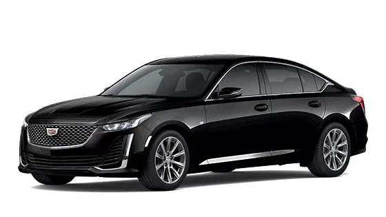Executive Sedan |Black Car, SUV, Limo, Sprinter